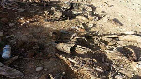 Hallada una fosa común en Sinyar al noreste de Iraq